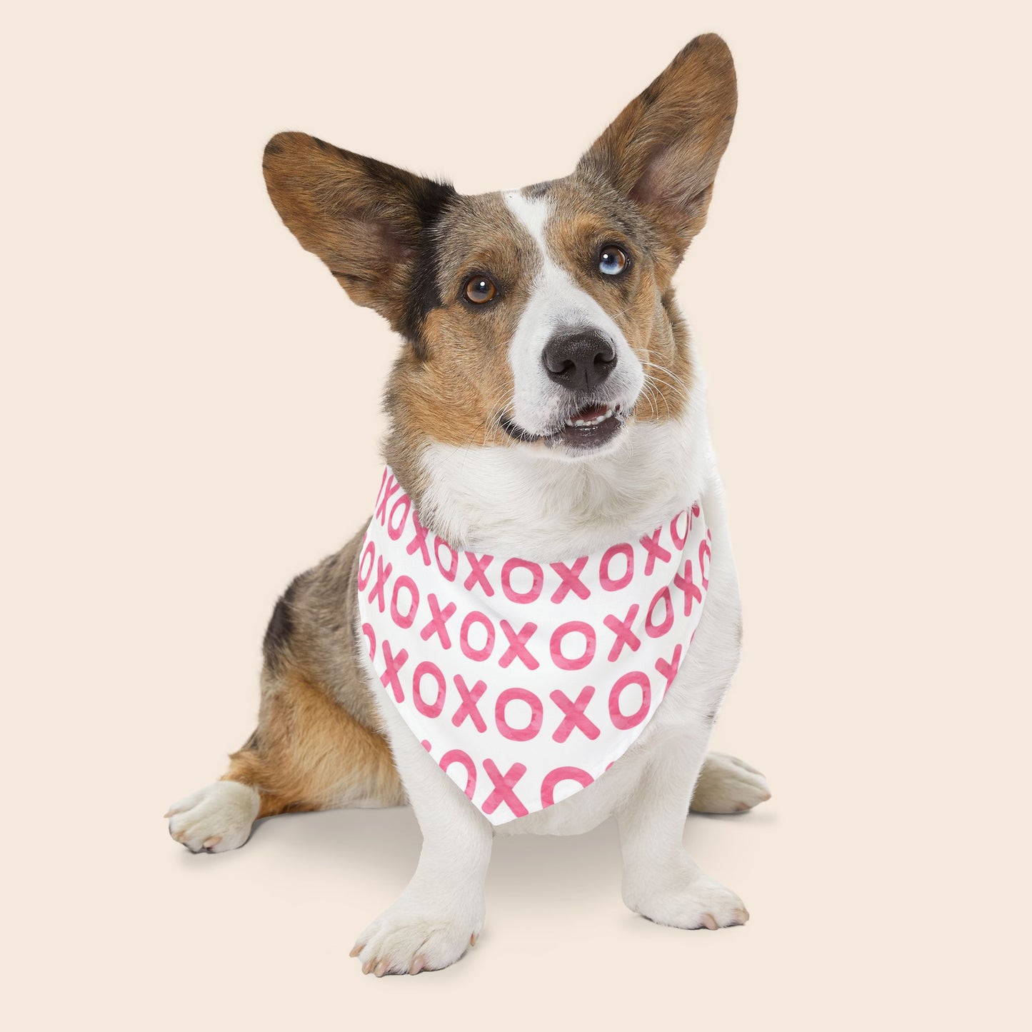 XOXO Valentine's Day Over the Collar Dog Bandana