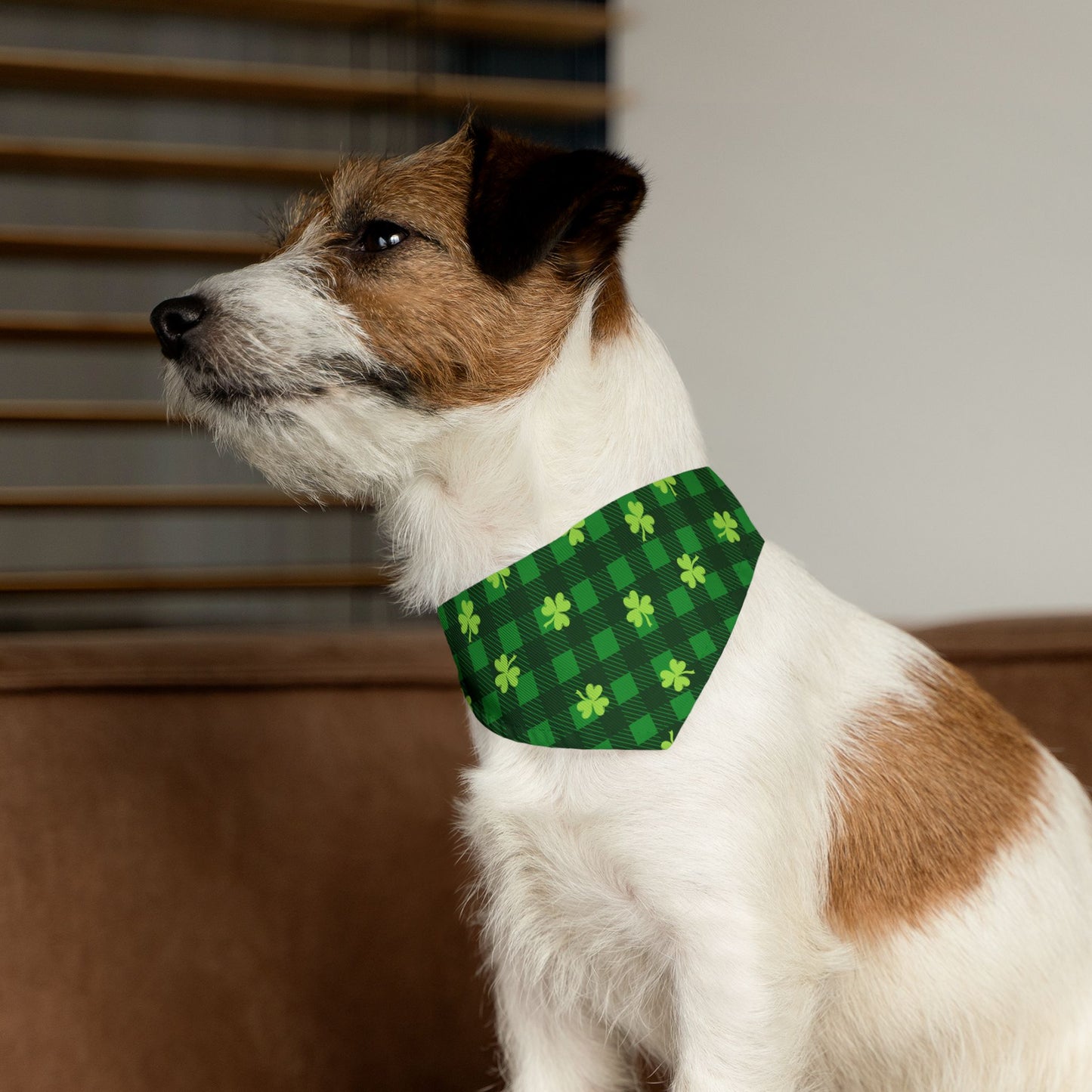 St. Patrick's Day Over the Collar Dog Bandana