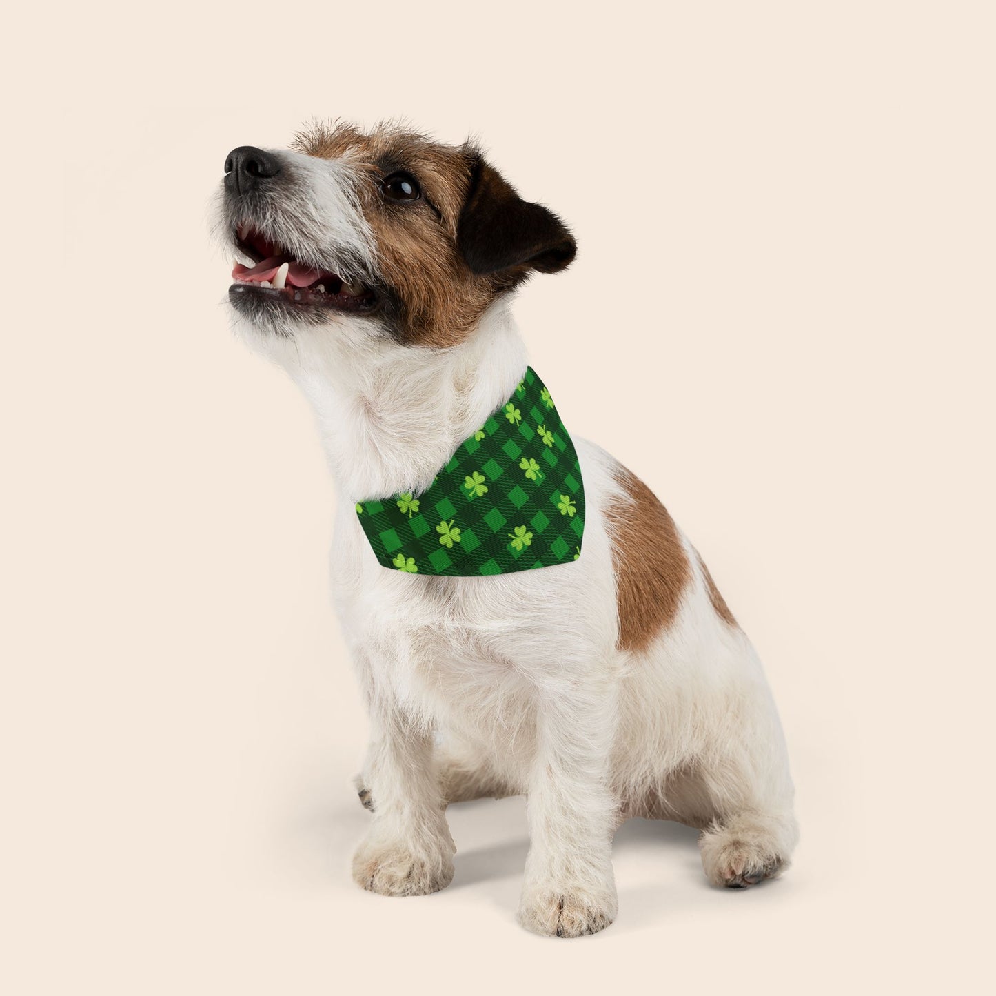 St. Patrick's Day Over the Collar Dog Bandana
