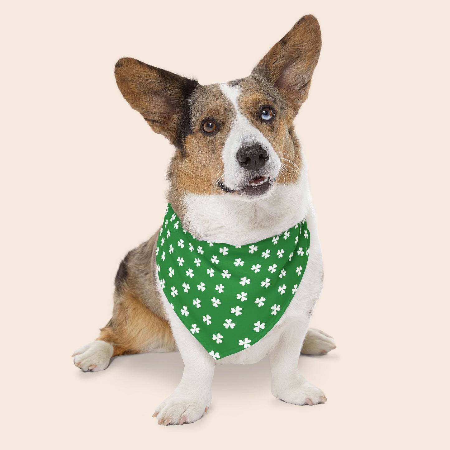 St. Patrick's Day Over the Collar Dog Bandana