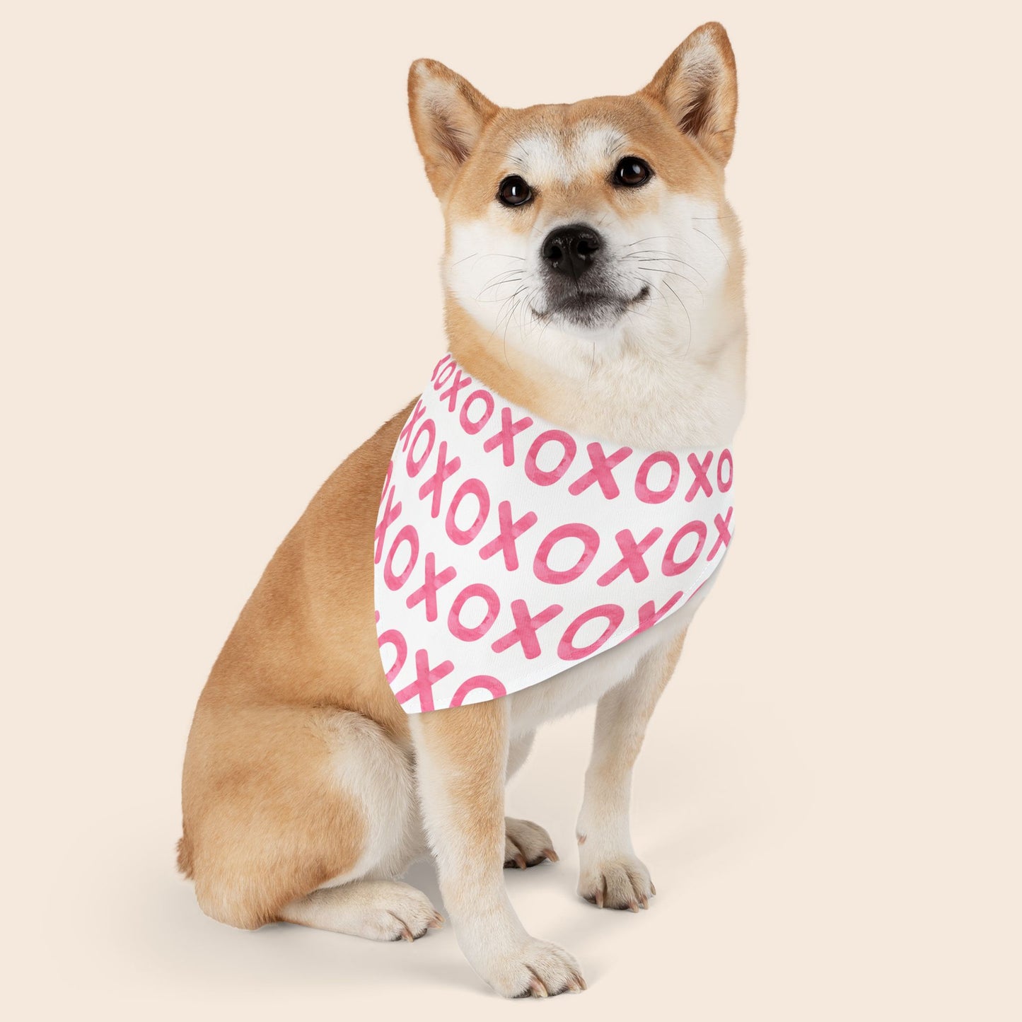 XOXO Valentine's Day Over the Collar Dog Bandana