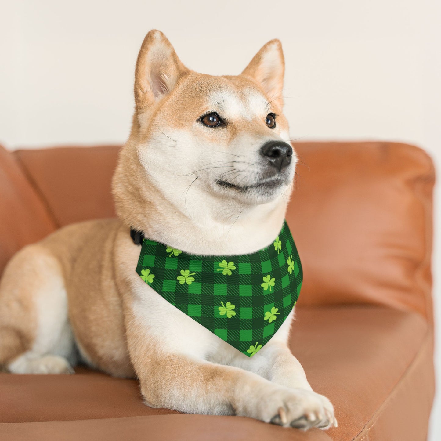 St. Patrick's Day Over the Collar Dog Bandana