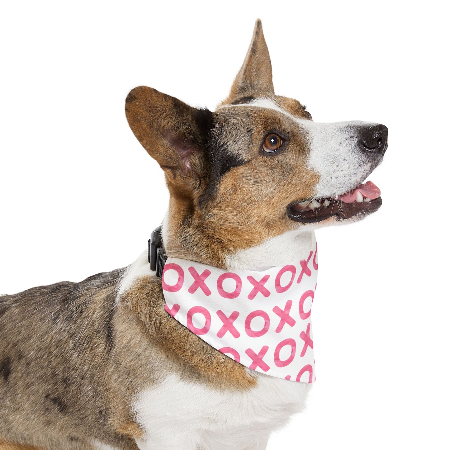 XOXO Valentine's Day Over the Collar Dog Bandana