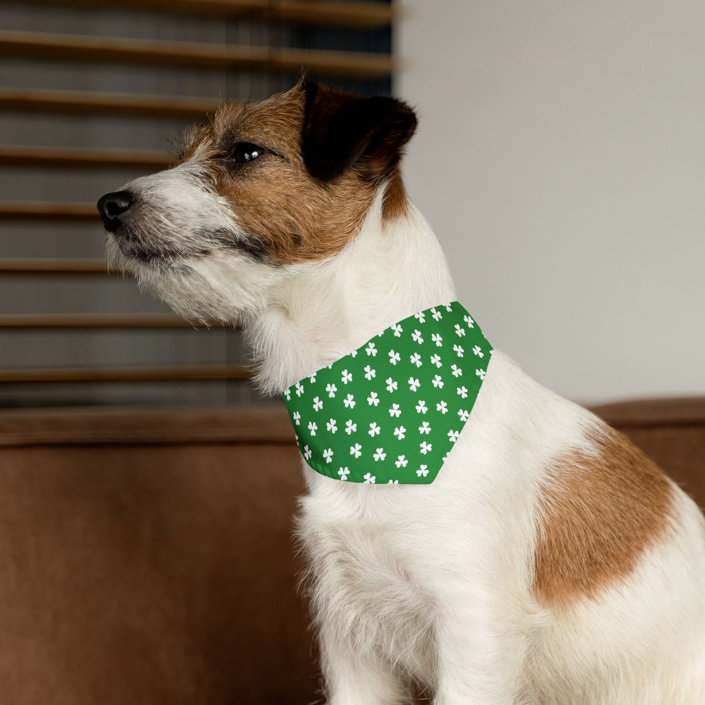 St. Patrick's Day Over the Collar Dog Bandana