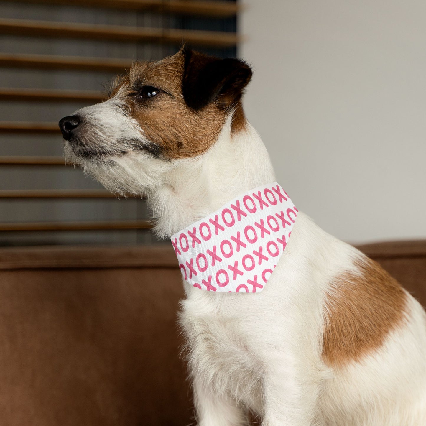 XOXO Valentine's Day Over the Collar Dog Bandana