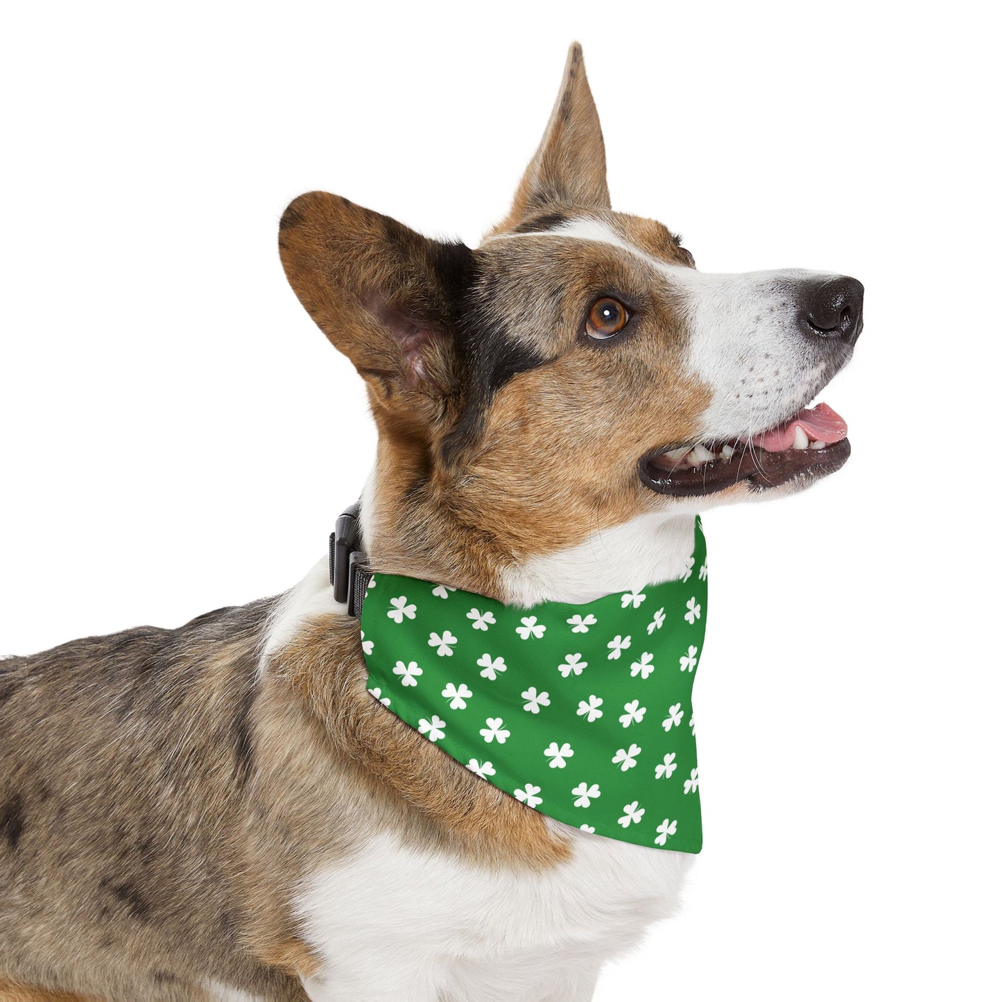 St. Patrick's Day Over the Collar Dog Bandana