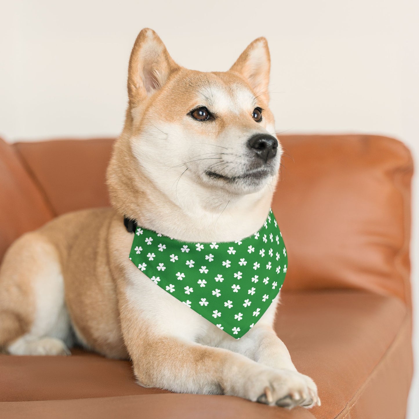 St. Patrick's Day Over the Collar Dog Bandana