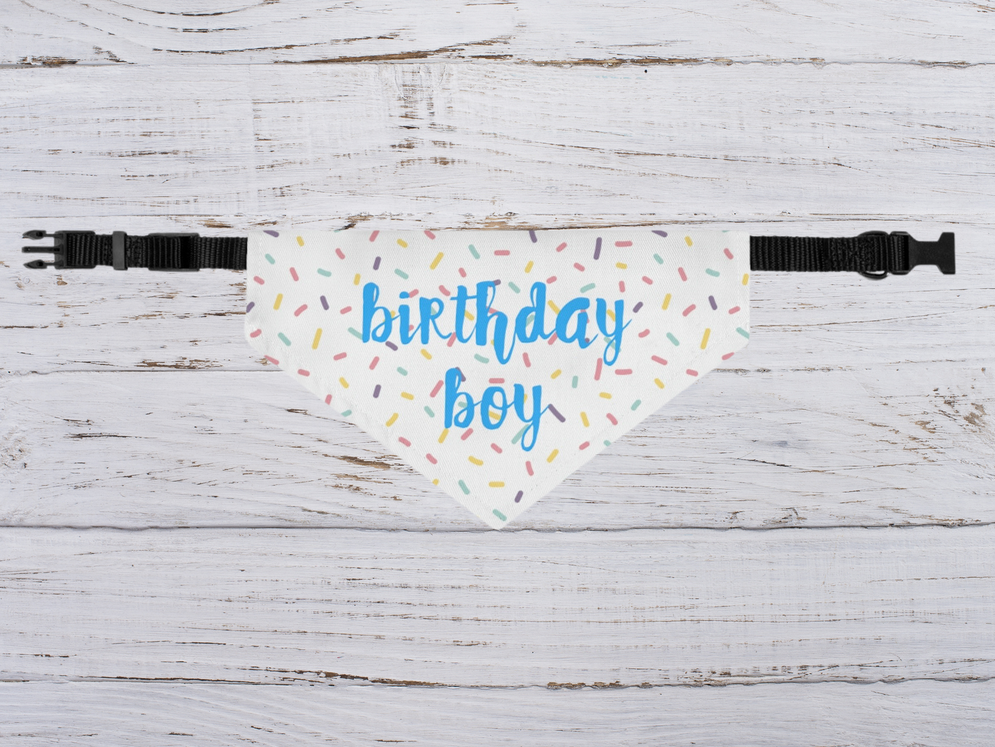 Birthday Boy Over the Collar Dog Bandana