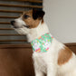 Easter Over the Collar Easter/Spring Dog Bandana