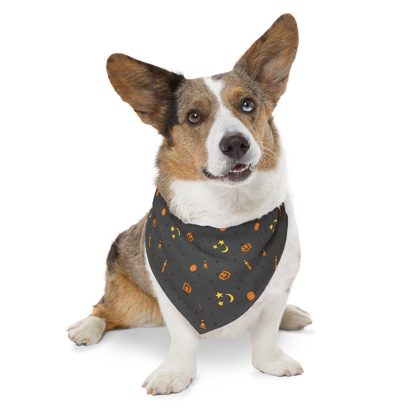 Cute Halloween Over the Collar Dog Bandana