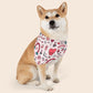 Valentine's Day Over the Collar Dog Bandana