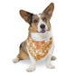 Fall Leaves Over the Collar Fall Dog Bandana