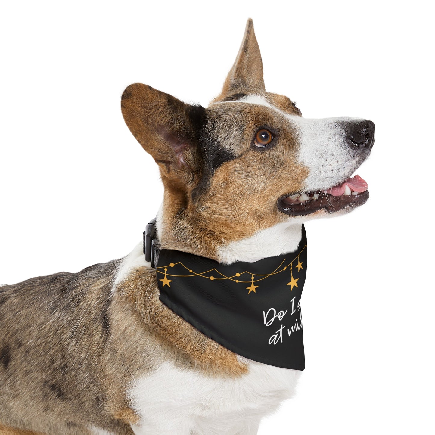 Do I Get a Kiss at Midnight Over the Collar New Years Dog Bandana