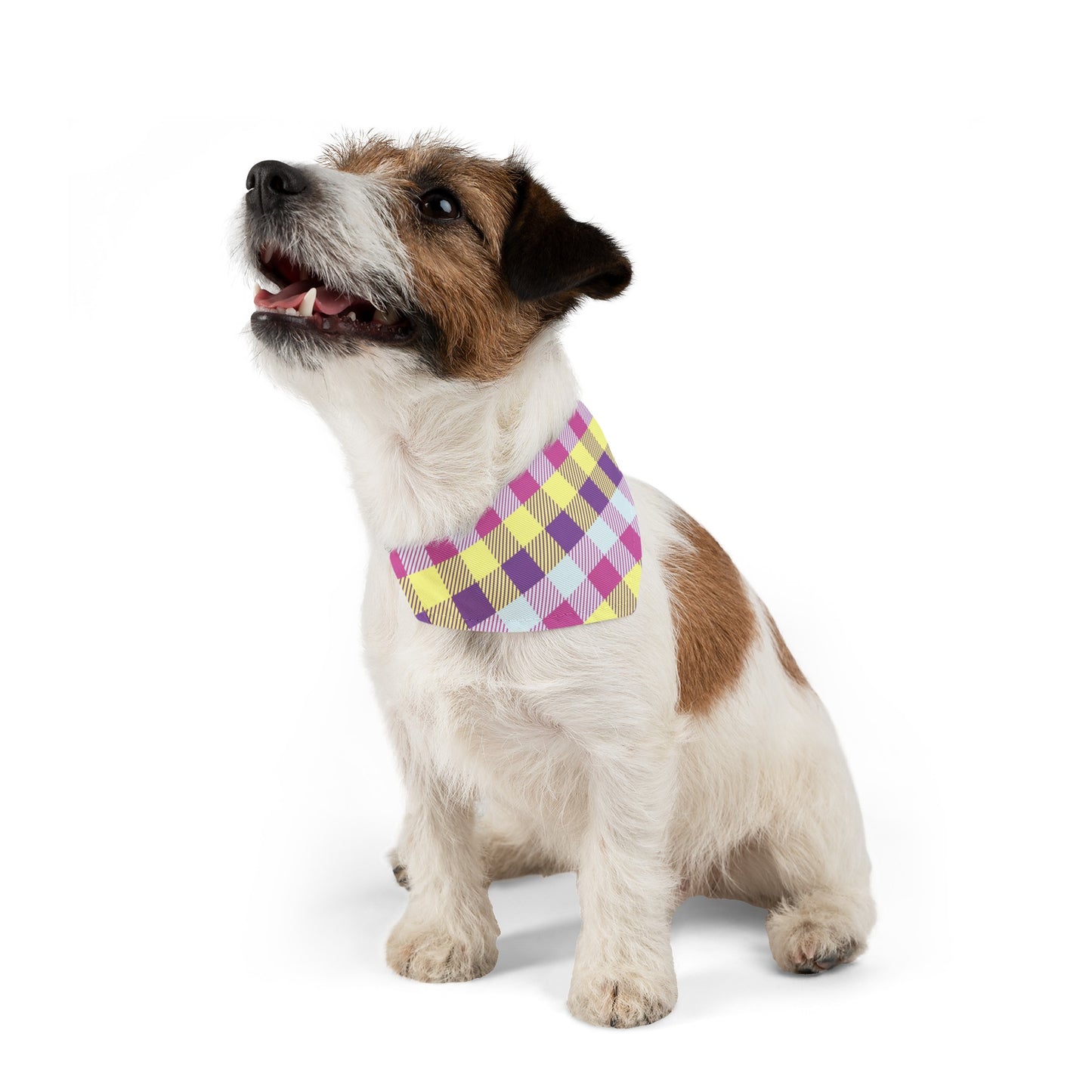 Easter Over the Collar Easter/Spring Dog Bandana