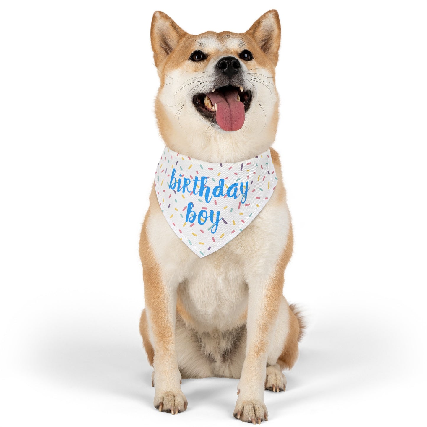 Birthday Boy Over the Collar Dog Bandana