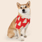 Christmas Cookies Over The Collar Dog Bandana