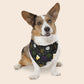 Happy New Year Over The Collar Dog Bandana