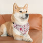 Valentine's Day Over the Collar Dog Bandana