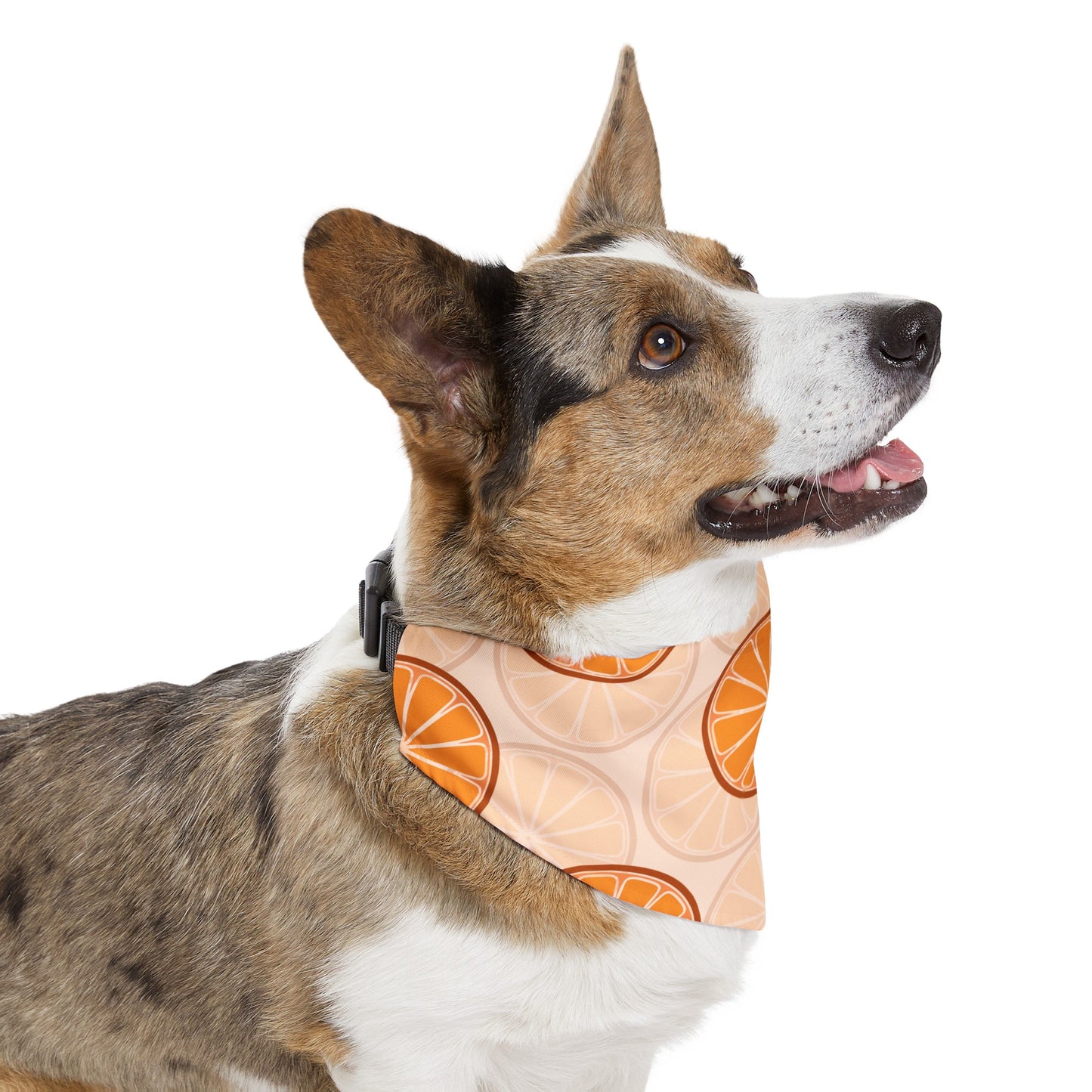 Citrus Over the Collar Spring/Summer Dog Bandana