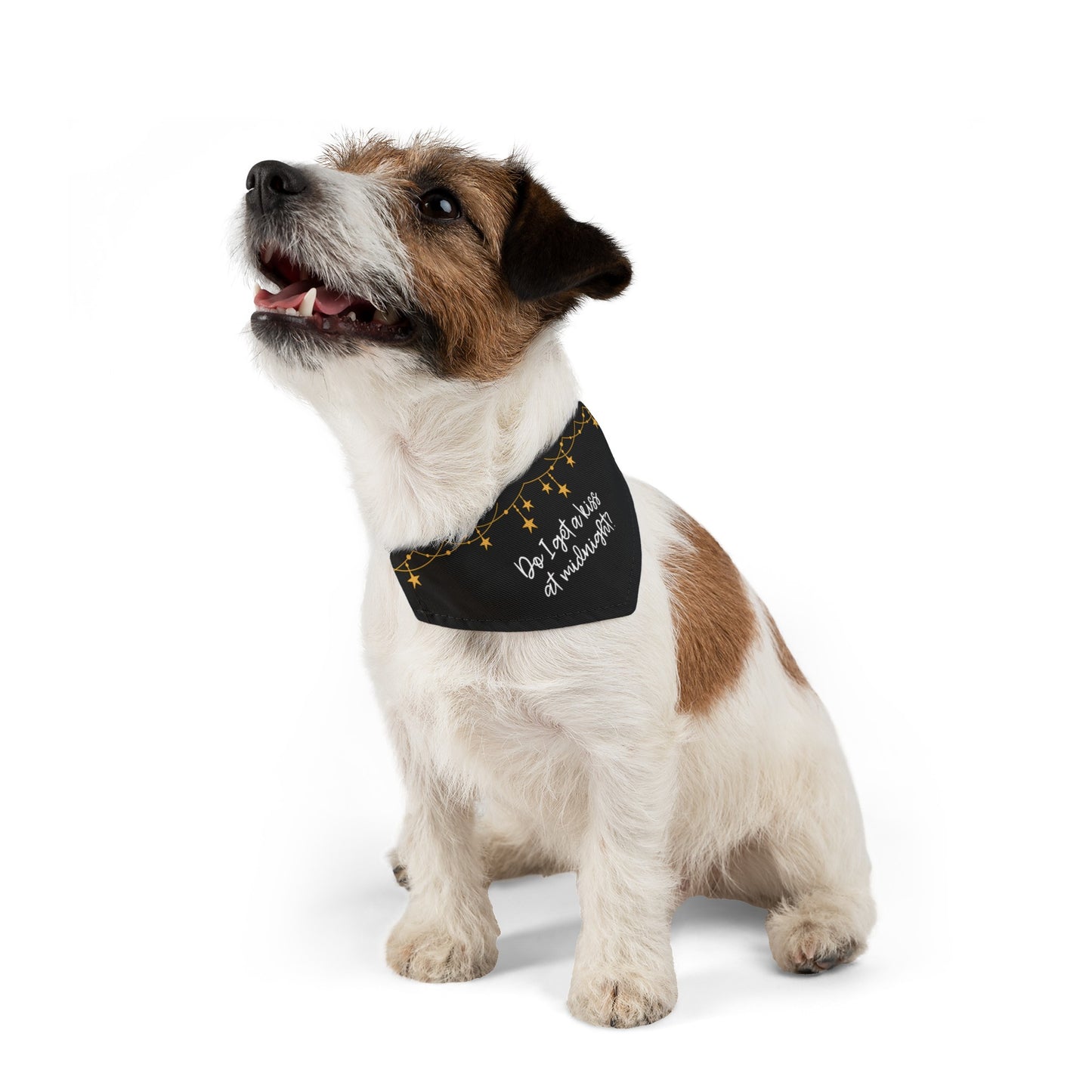 Do I Get a Kiss at Midnight Over the Collar New Years Dog Bandana