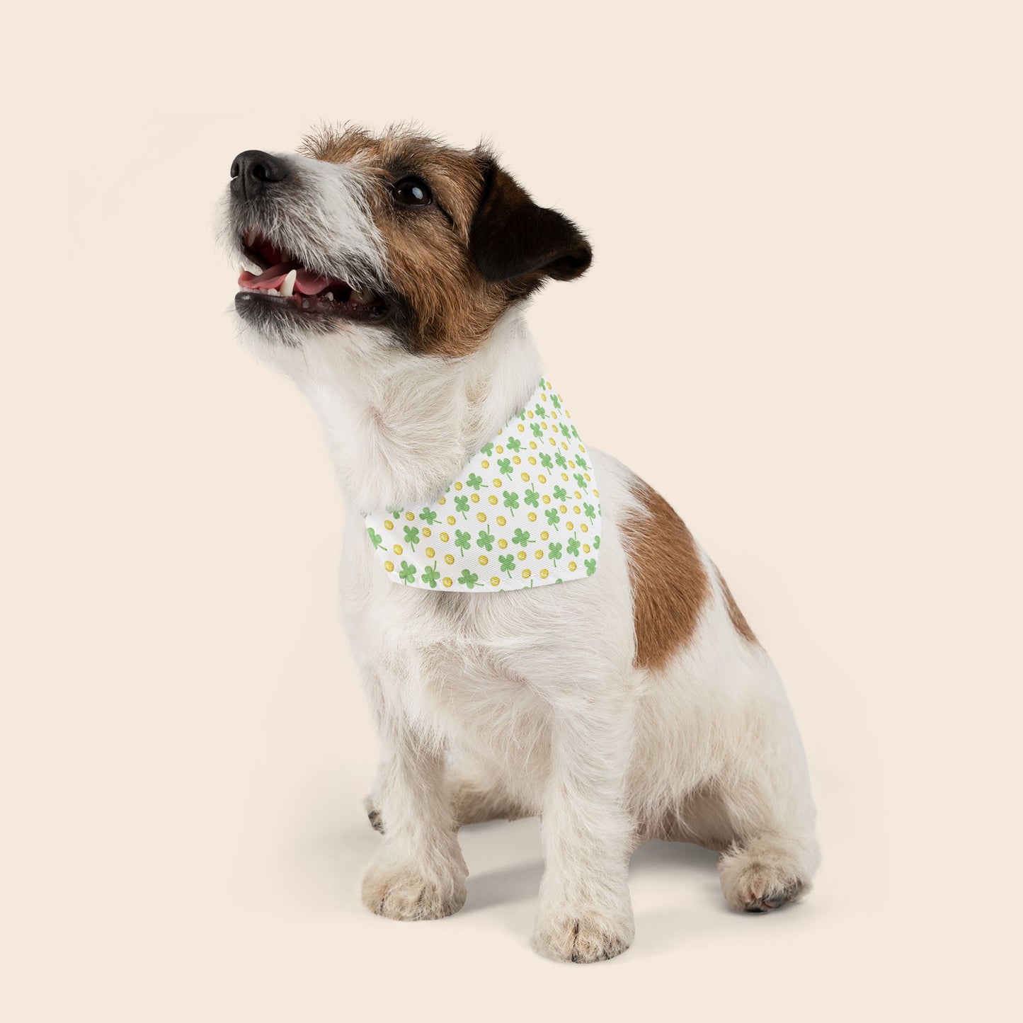 St. Patrick's Day Over the Collar Dog Bandana