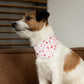 Valentine's Day Over the Collar Dog Bandana