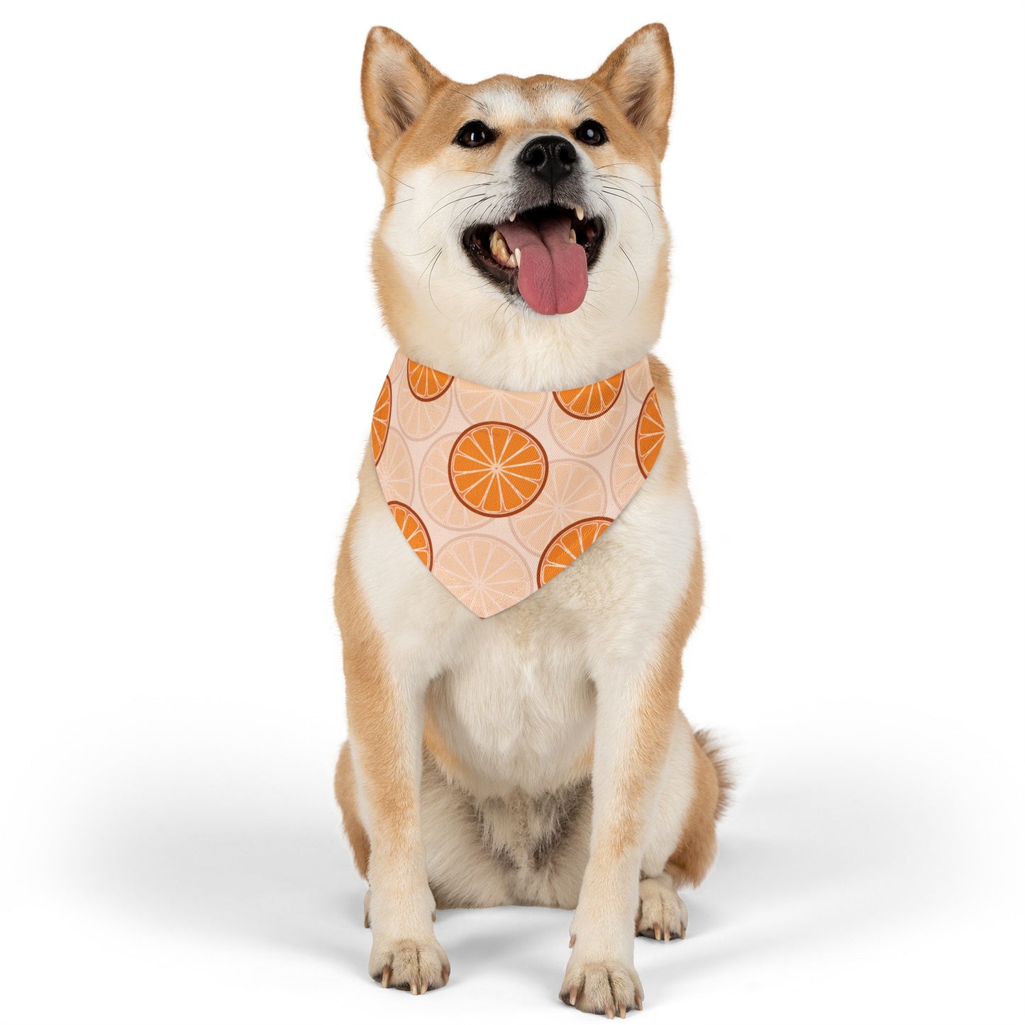 Citrus Over the Collar Spring/Summer Dog Bandana