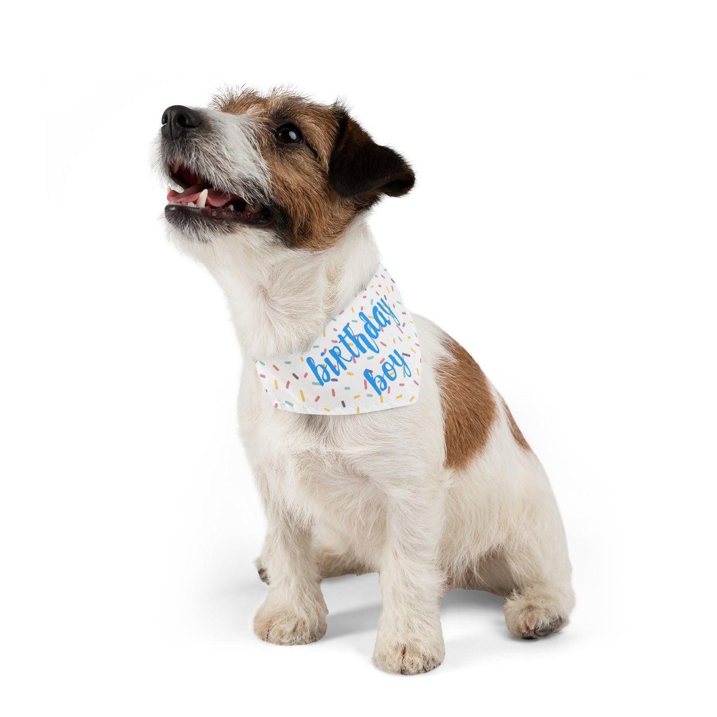 Birthday Boy Over the Collar Dog Bandana