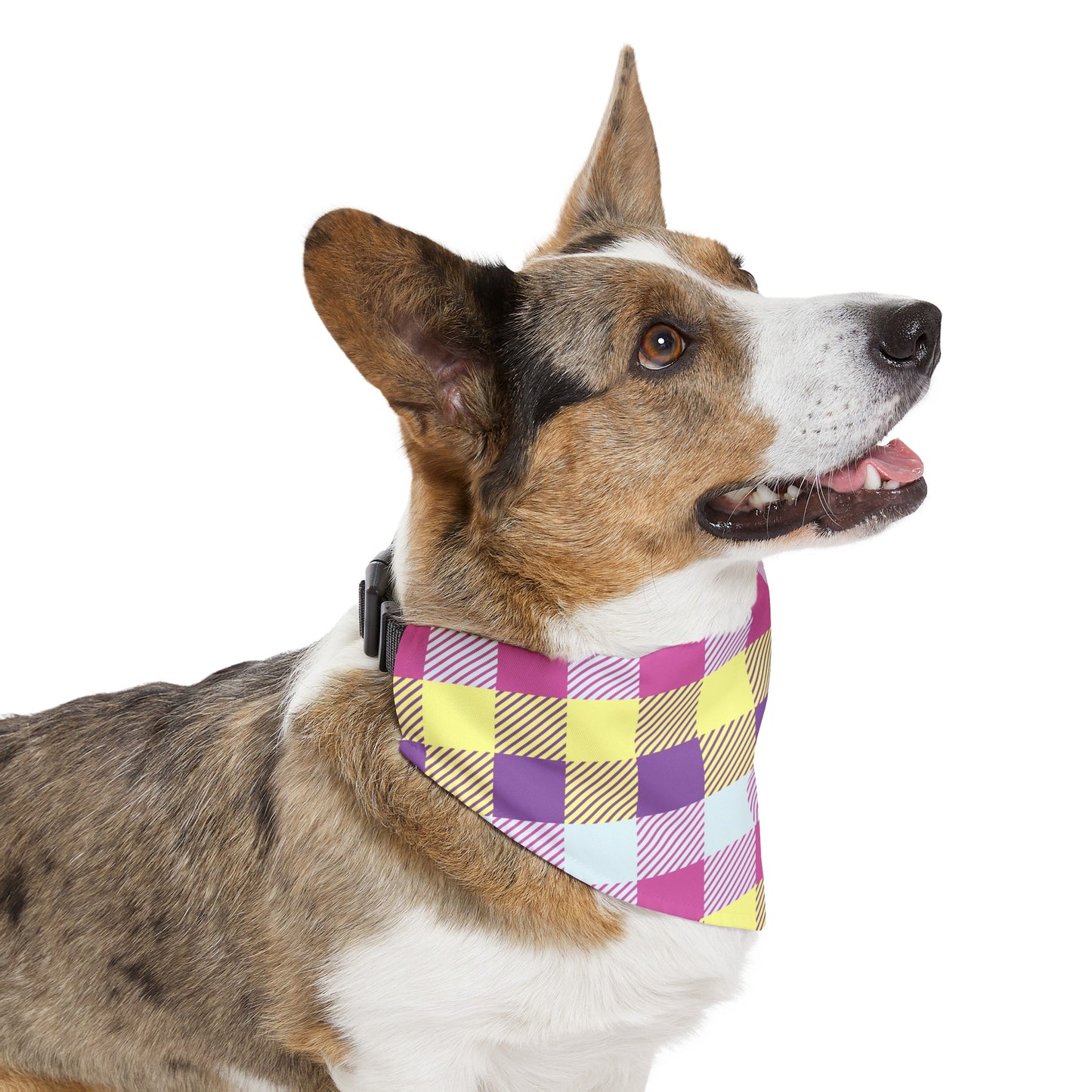 Easter Over the Collar Easter/Spring Dog Bandana