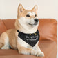 Do I Get a Kiss at Midnight Over the Collar New Years Dog Bandana