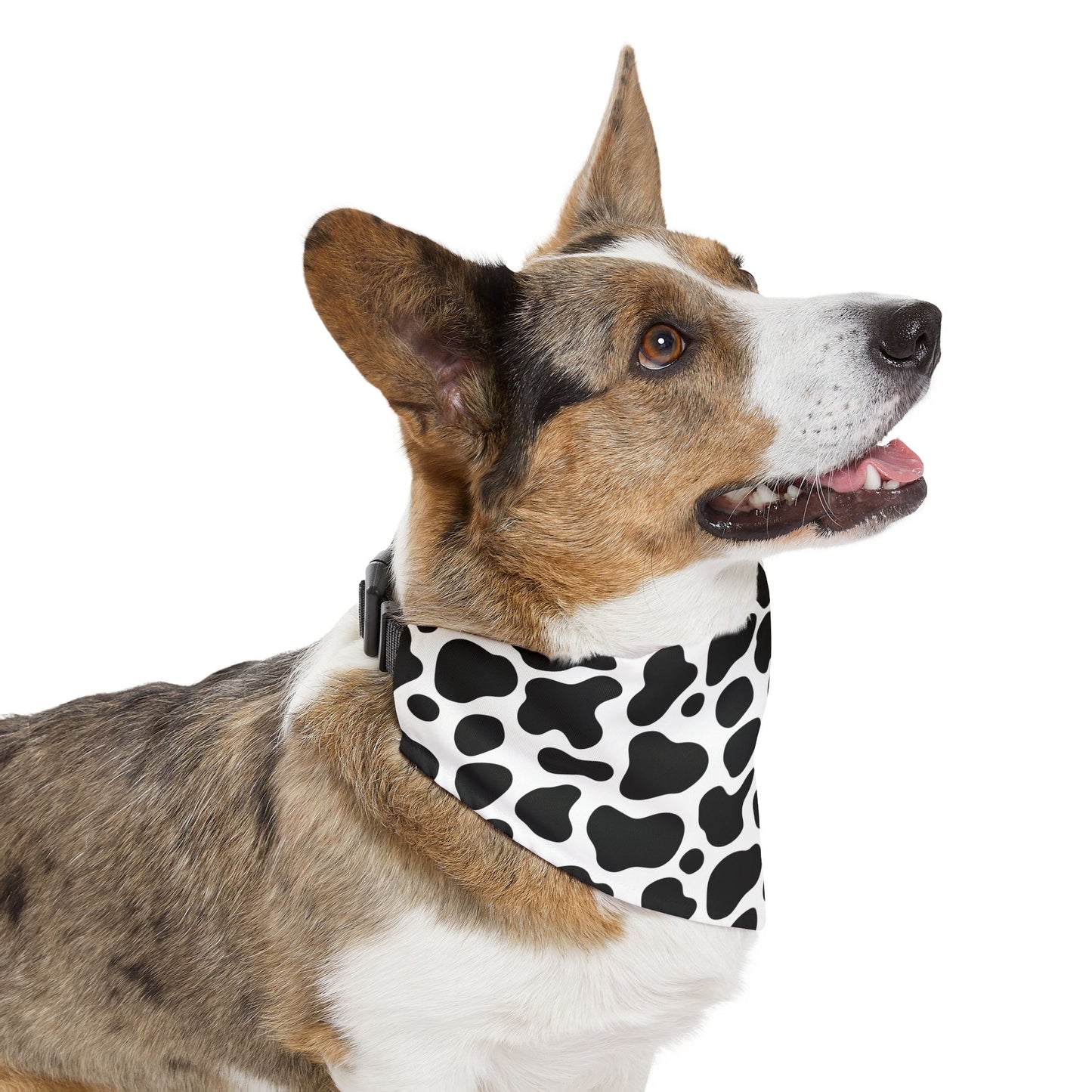 Cow Print Over The Collar Dog Bandana