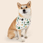 St. Patrick's Day Over the Collar Dog Bandana