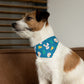 Easter Over the Collar Easter/Spring Dog Bandana