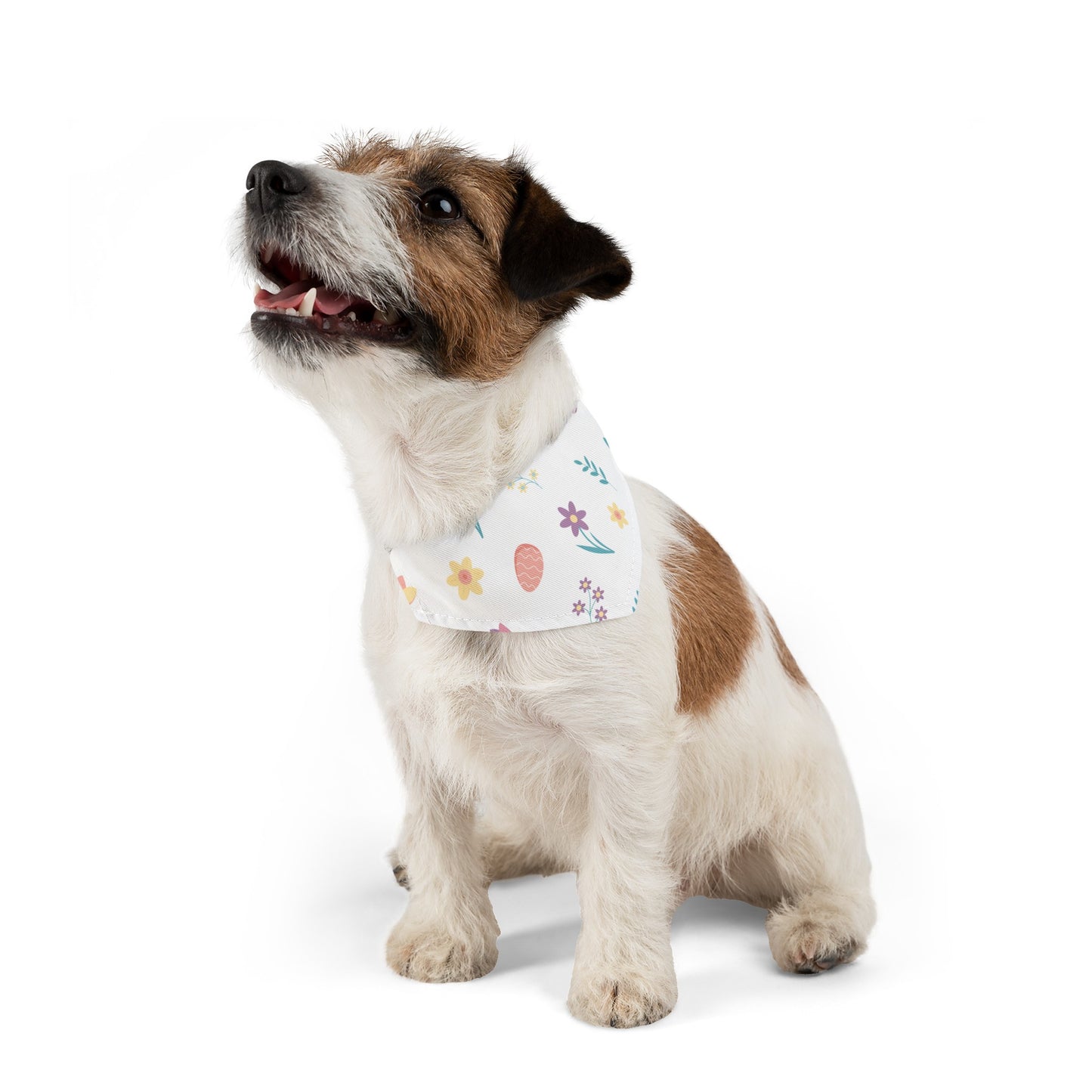 Easter Over the Collar Easter/Spring Dog Bandana