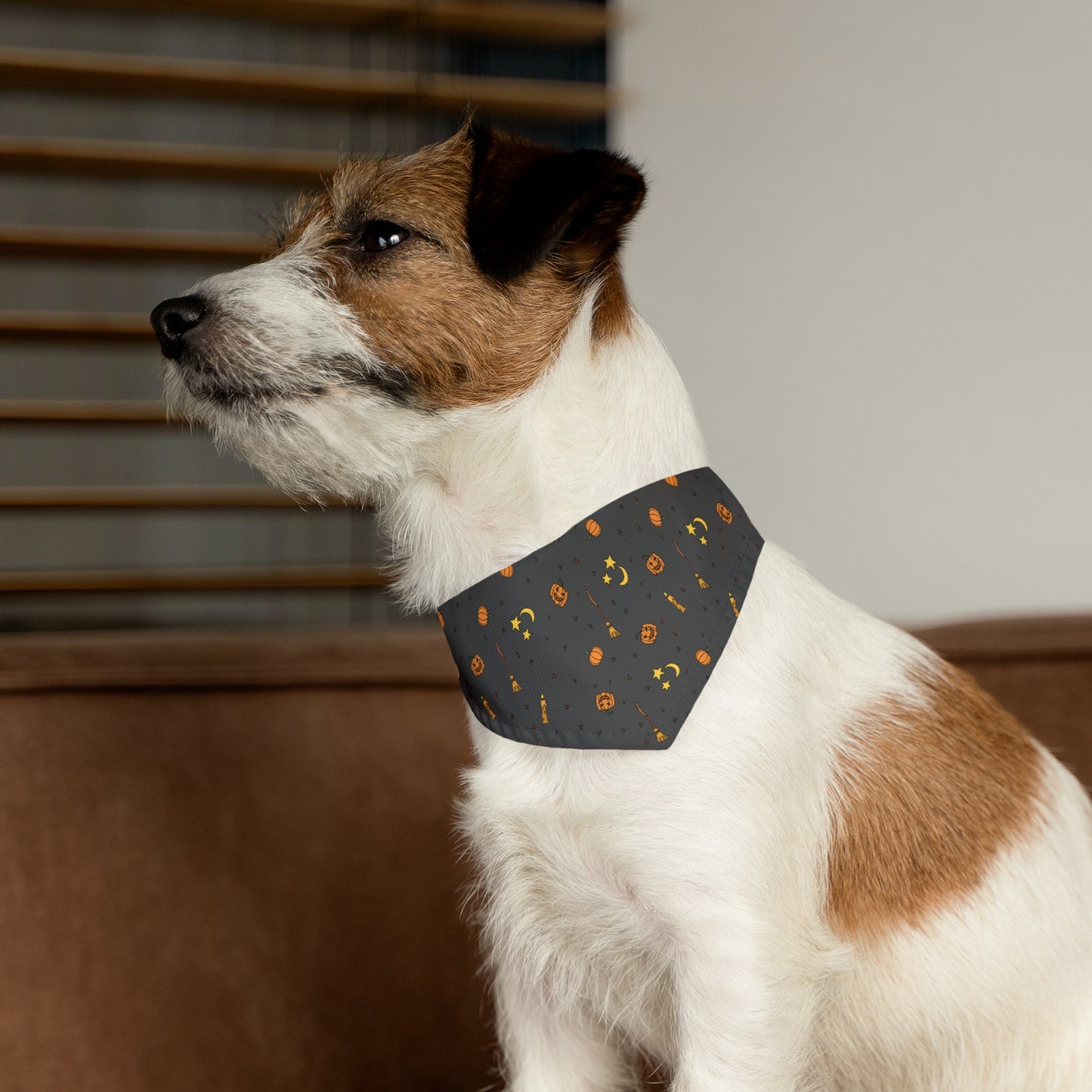 Cute Halloween Over the Collar Dog Bandana