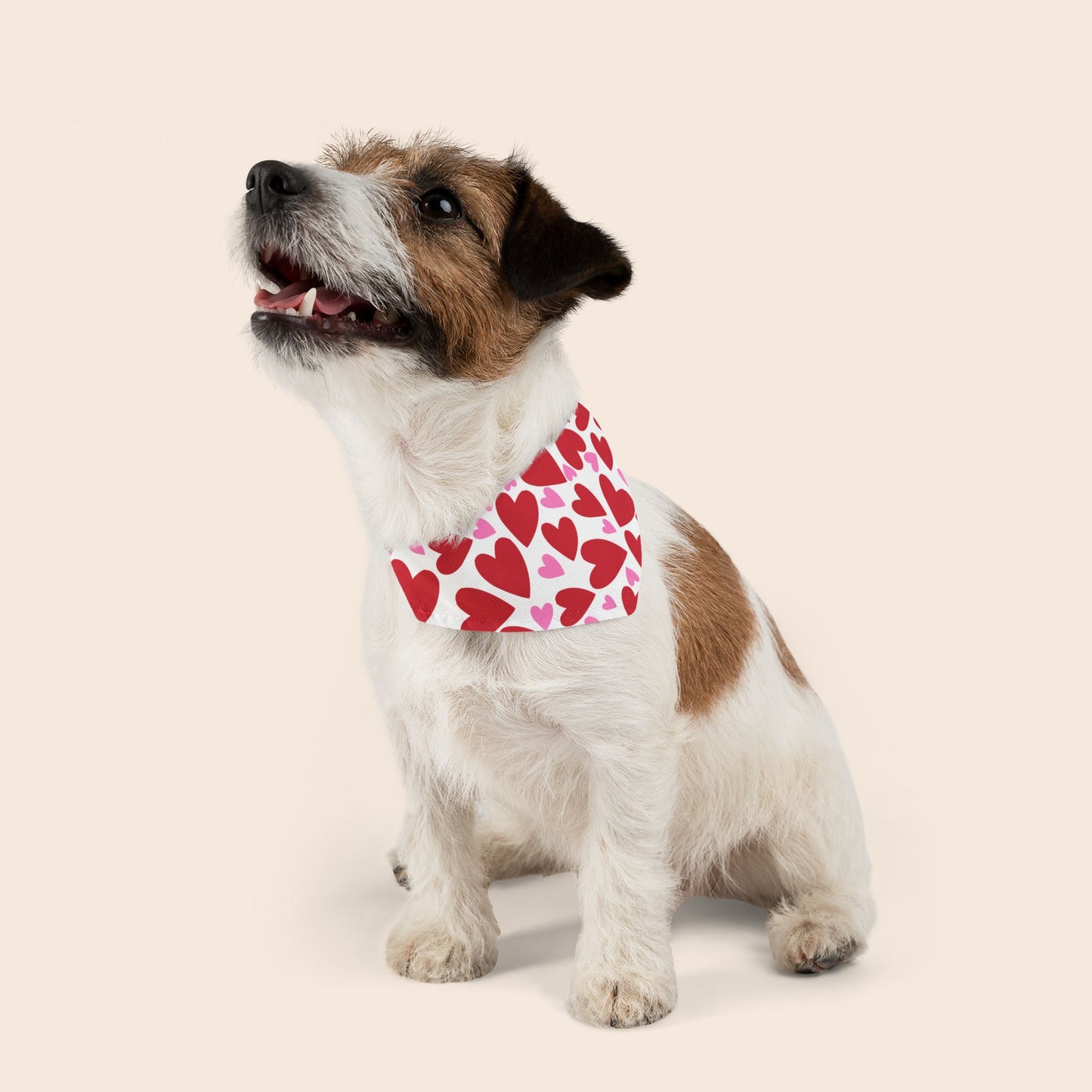 Valentine's Day Over the Collar Dog Bandana