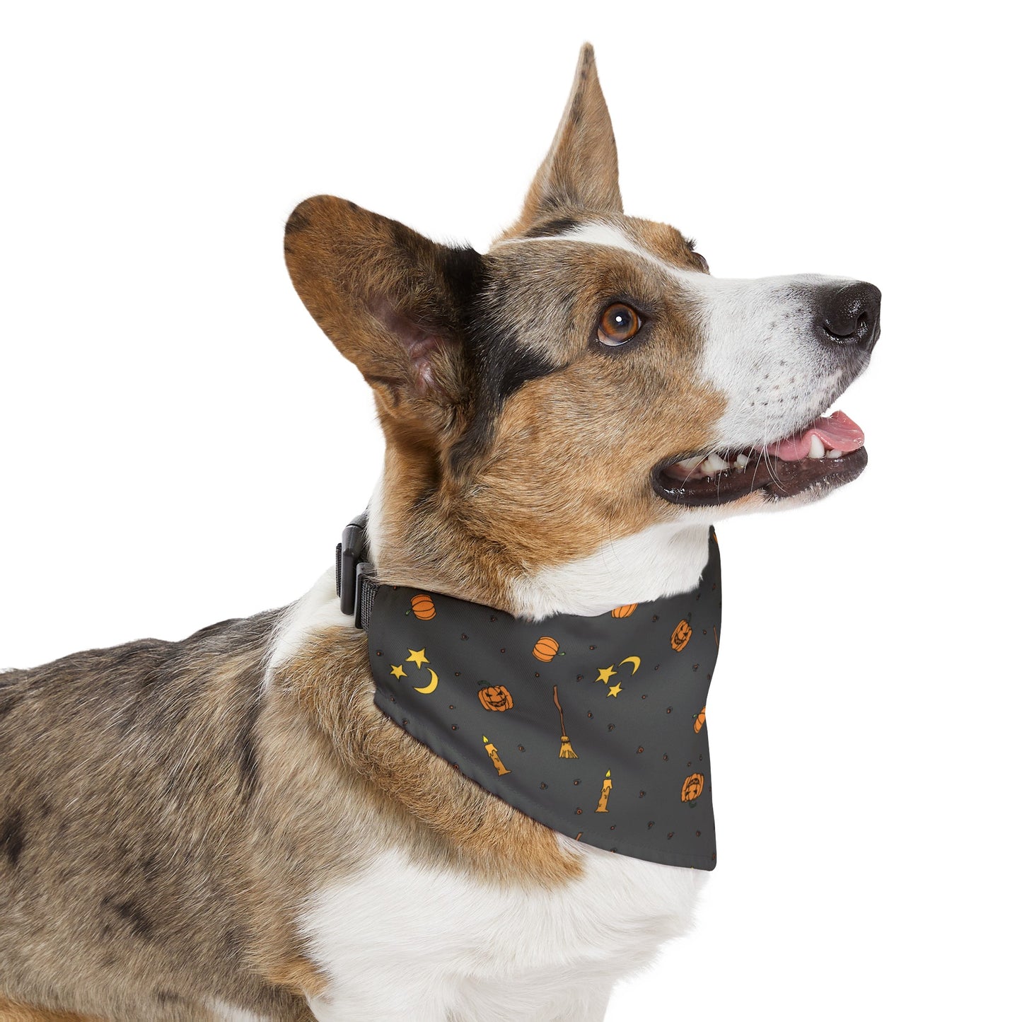 Cute Halloween Over the Collar Dog Bandana