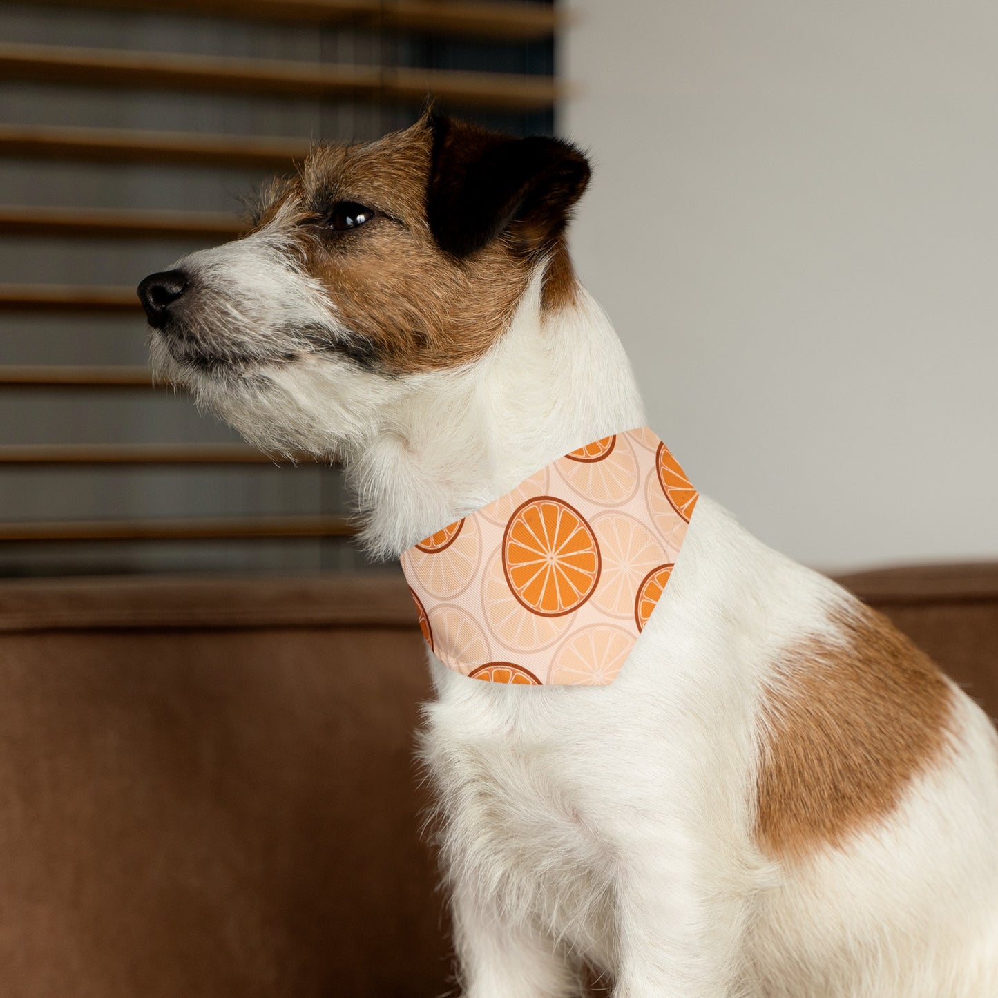 Citrus Over the Collar Spring/Summer Dog Bandana