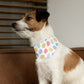 Easter Over the Collar Easter/Spring Dog Bandana