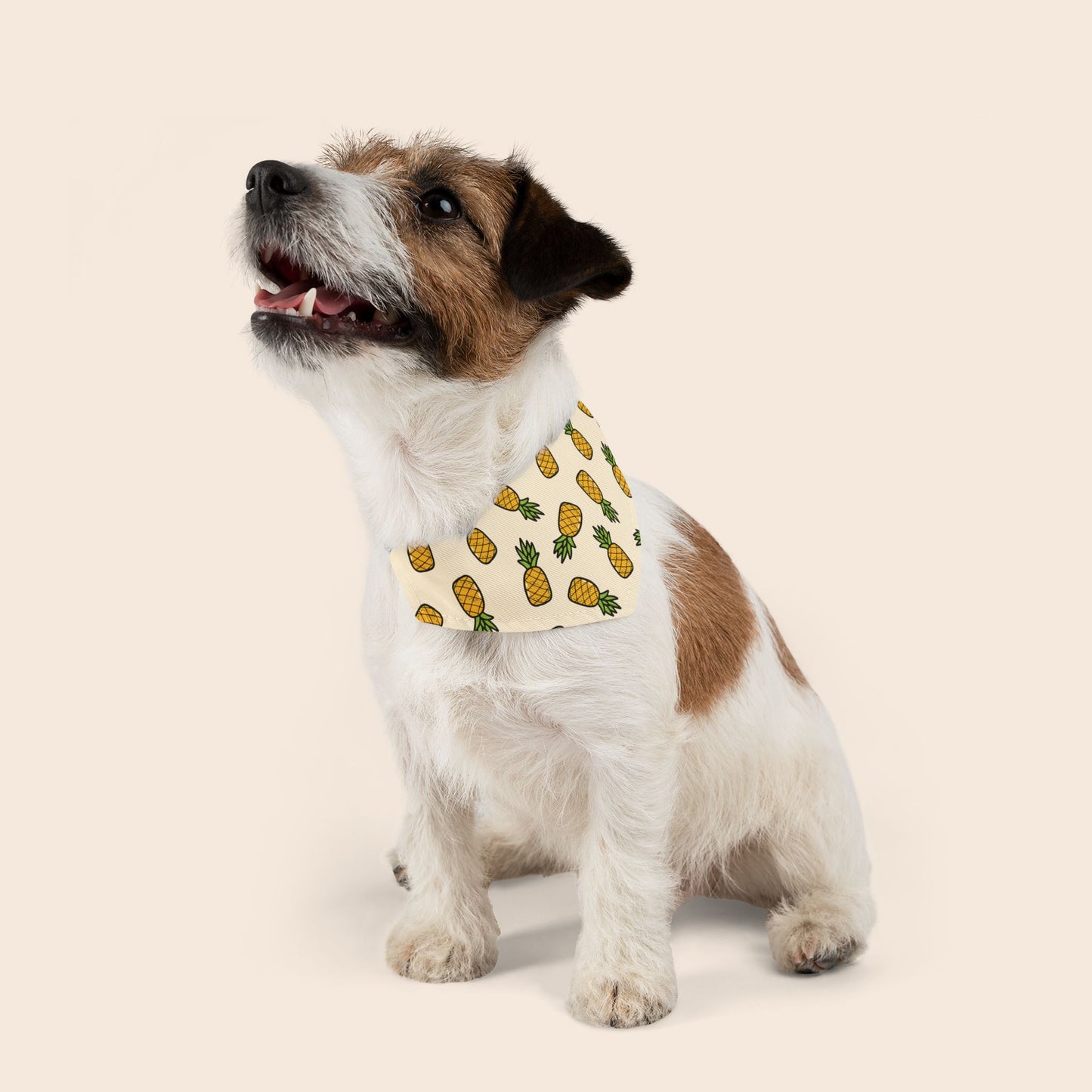 Pineapples Over the Collar Dog Bandana