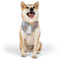 Cute Halloween Over the Collar Dog Bandana