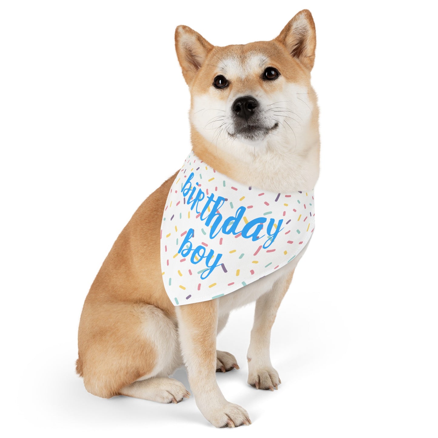 Birthday Boy Over the Collar Dog Bandana