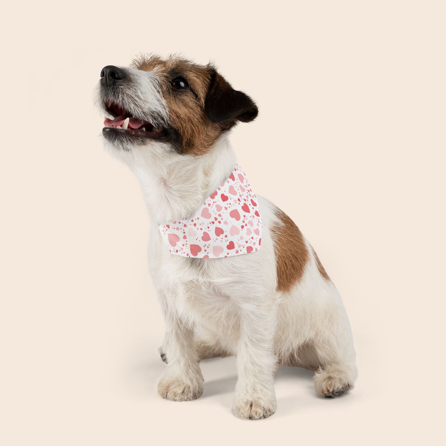 Valentine's Day Over the Collar Dog Bandana