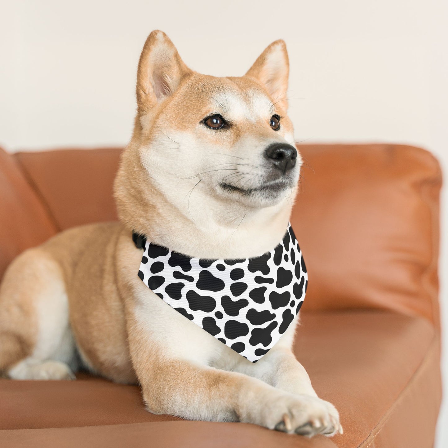 Cow Print Over The Collar Dog Bandana