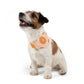 Citrus Over the Collar Spring/Summer Dog Bandana