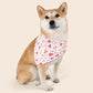 Valentine's Day Over the Collar Dog Bandana