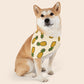 Pineapples Over the Collar Dog Bandana