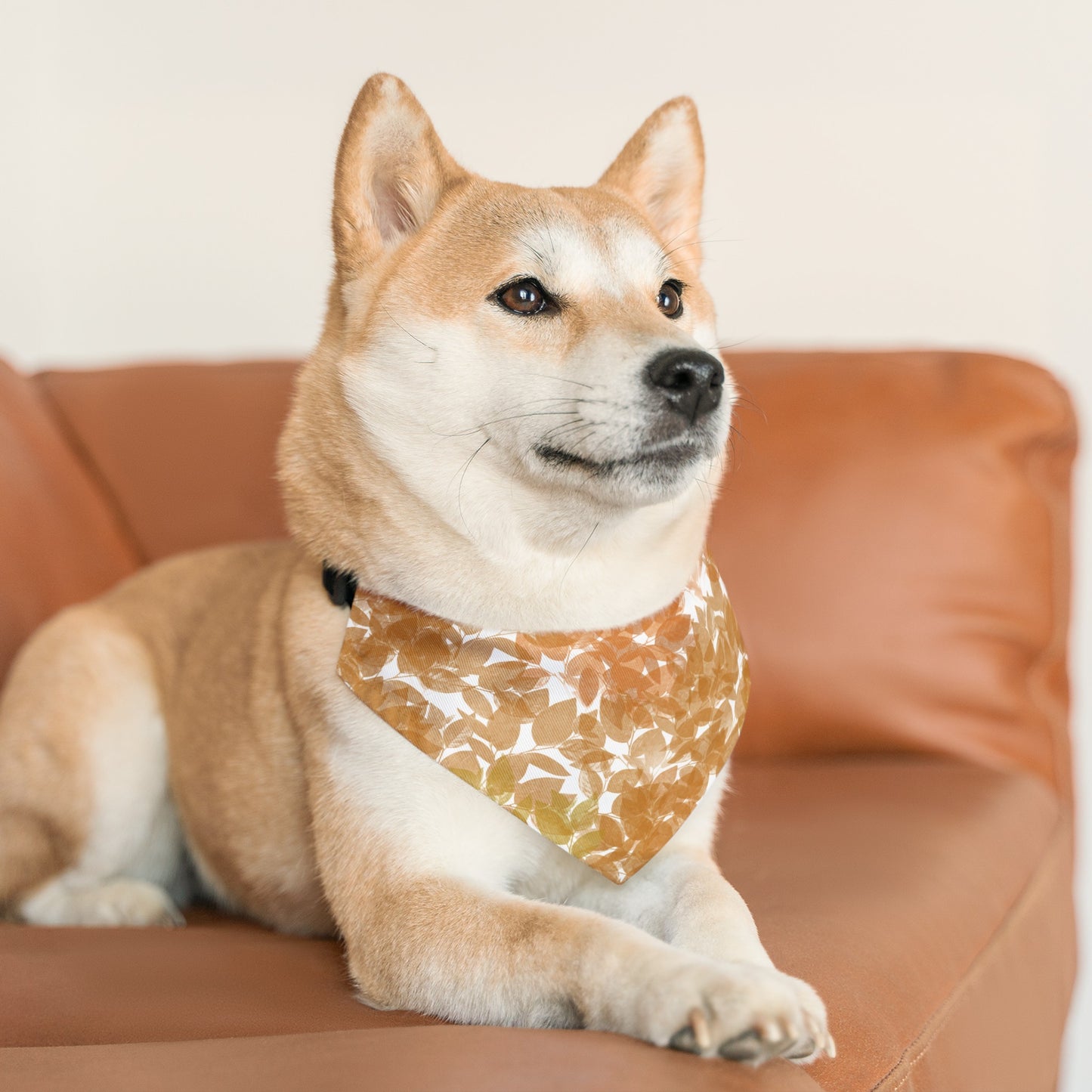 Fall Leaves Over the Collar Fall Dog Bandana