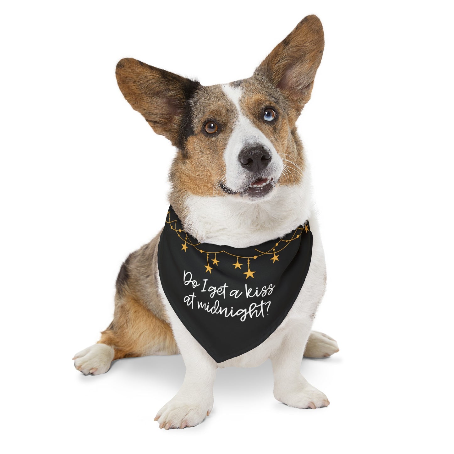 Do I Get a Kiss at Midnight Over the Collar New Years Dog Bandana