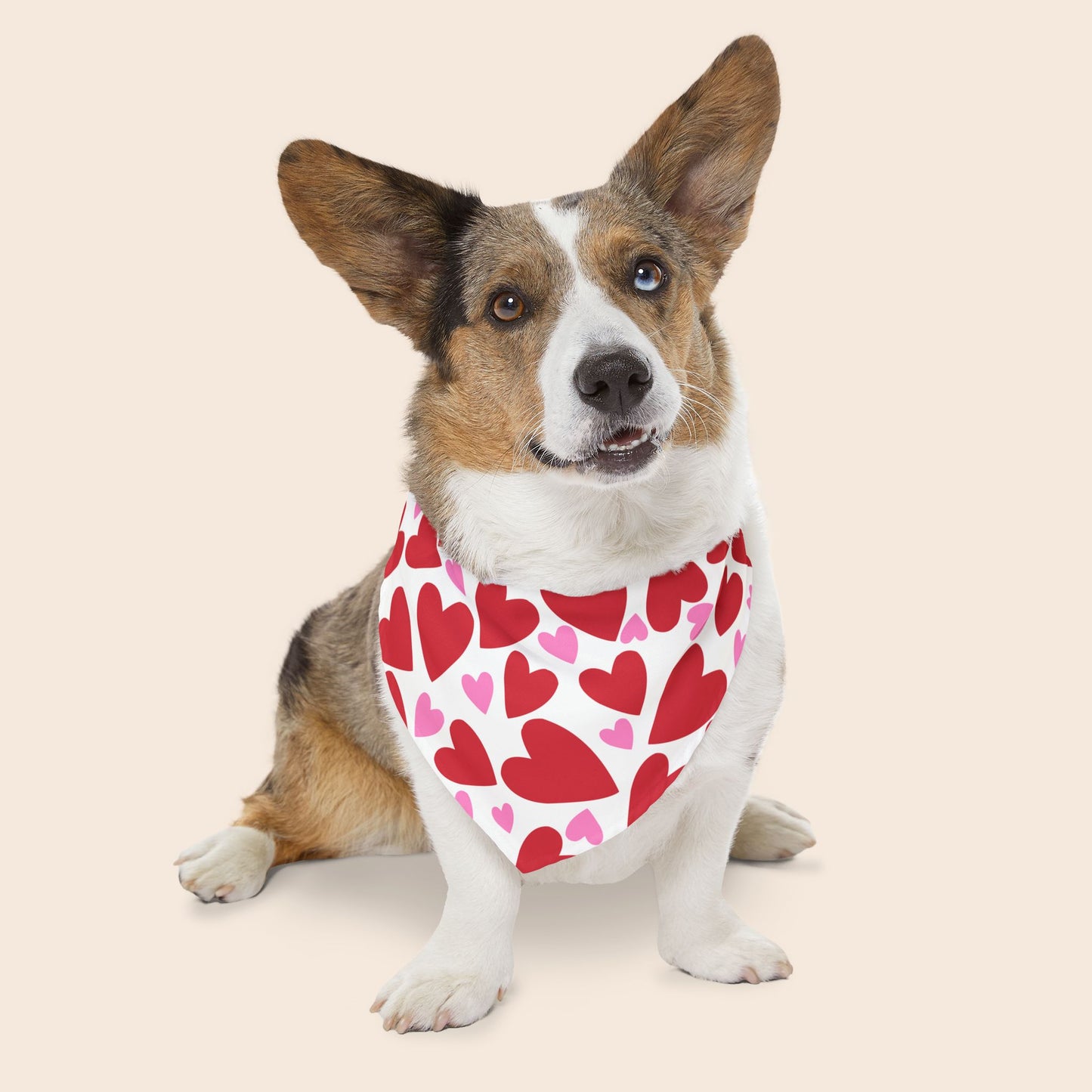 Valentine's Day Over the Collar Dog Bandana